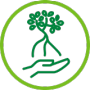 hand_root