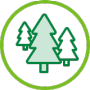 trees